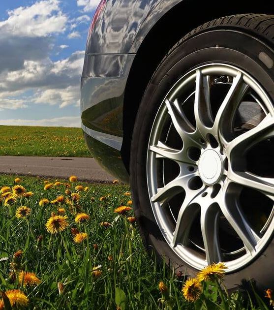 Un pneu végétal au service de l'environnement