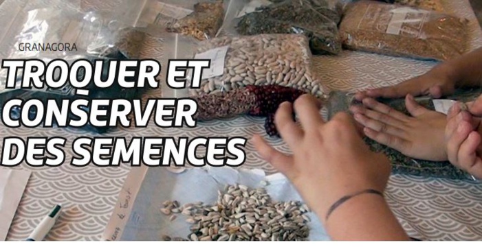 Troquer et conserver des semences