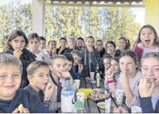 De l'arbre à l'assiette, l'olive n'a plus de secrets pour les écoliers de Travu