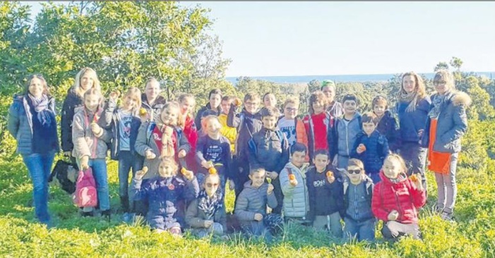 Agri'Gustu à la découverte de la clémentine bio