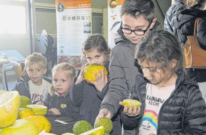 Quand les jardins de l'Inra s'ouvrent au grand public