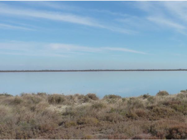 Journée mondiale des zones humides 2019 "zones humides et changement climatique", du 1er au 28 Février 