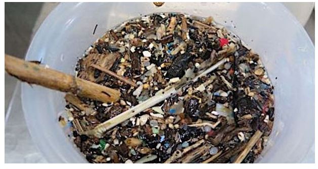 Pollution plastique entre Corse et Toscane : L'ennemi invisible qui étouffe la Méditerranée