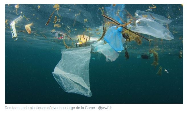 Une île de déchets plastiques dérive au large de la Corse
