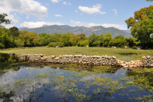 Festa di i pozzi 2019 Festa di i pozzi 2019