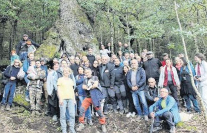 A la découverte des arbres remarquables du village 