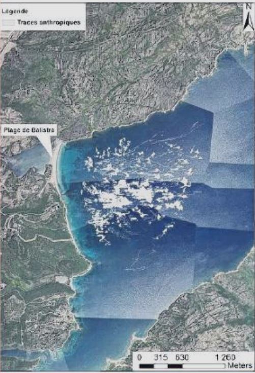 Les dégâts sur les posidonies cartographiés