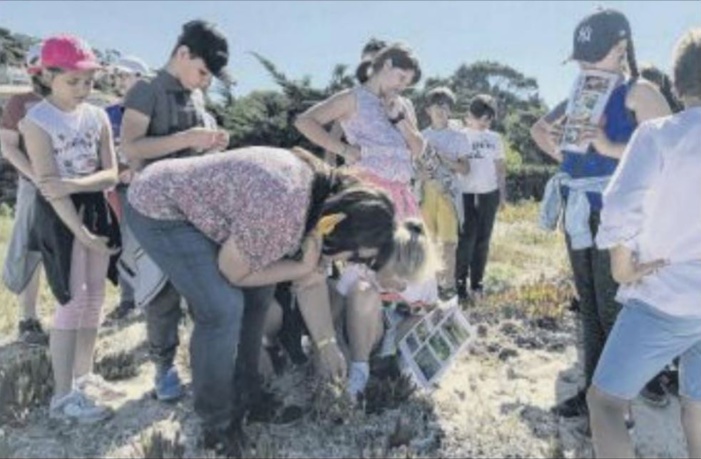  Des élèves impliqués pour préserver le littoral