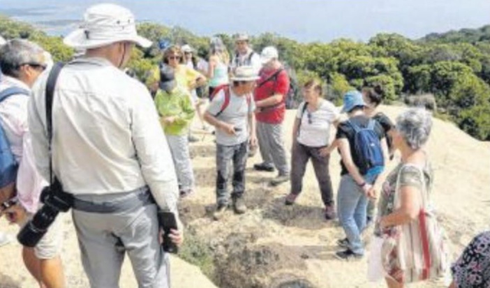 Balade en terres de Roccapina avec le botaniste Stéphane Rogliano