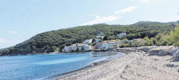 La baie de Meria doit gérer l'invasion de Posidonies
