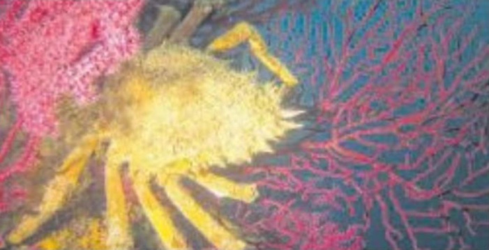 Araignées de mer c'est la fin de la saison 