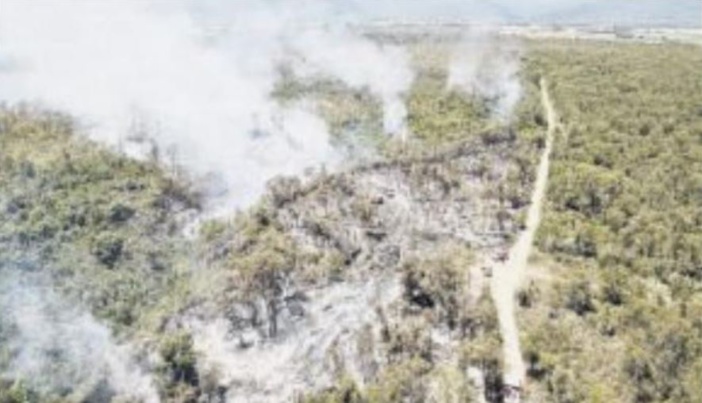 23 ha d'eucalyptus brûlés à Aghjone