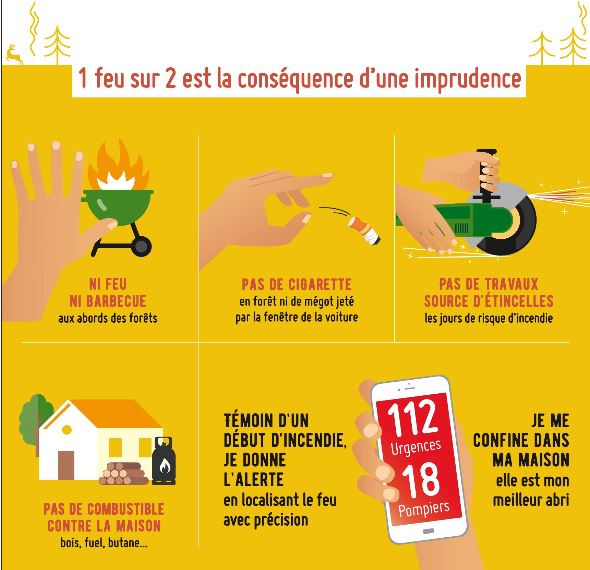 Feux de Forêt  :  les prévenir et s'en protéger 