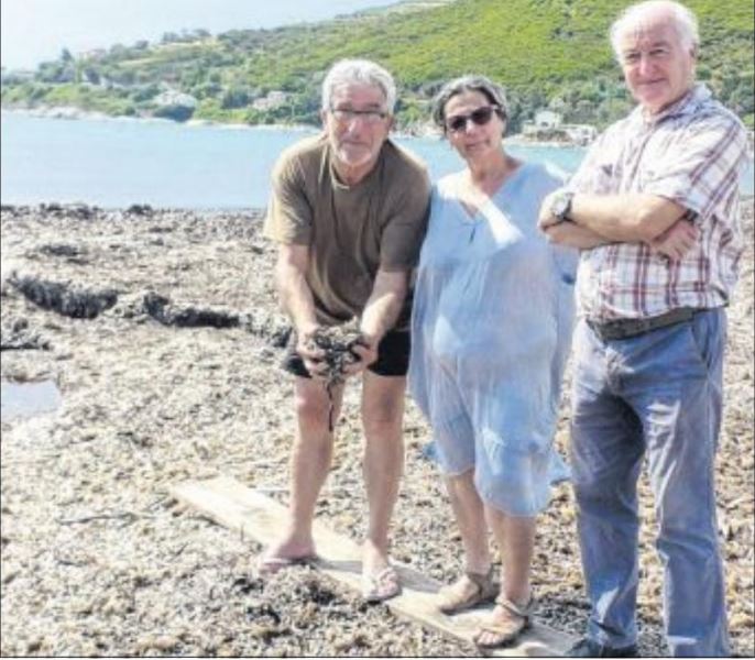 Un couloir de 10 mètres sera dégagé sur la plage de Misincu