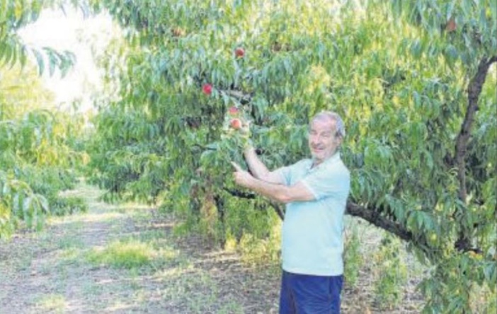 Le pari du bio à la Testa