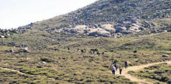 La transhumance, pratique multiséculaire au Cuscionu