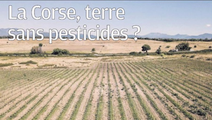  La Corse, terre sans pesticides ?