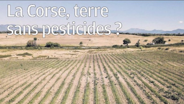  La Corse, terre sans pesticides ?
