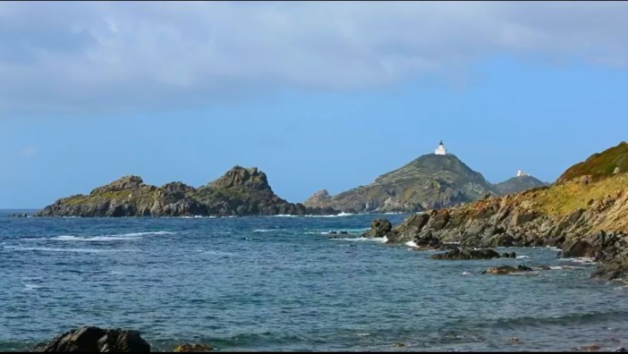 Les îles de l'île, 15 000 ans de biodiversité 