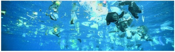 Toujours plus de déchets en Méditerranée