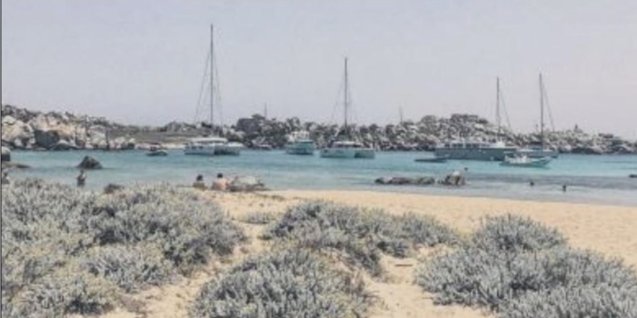 Le fragile équilibre de la réserve naturelle des Bouches de Bonifacio