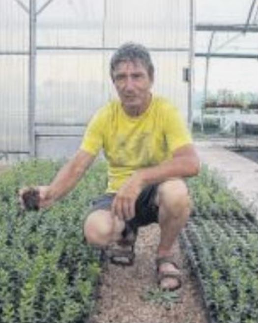  Les plantes sauvages à l'honneur