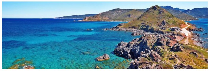 Environnement  Objectif : plages sans plastiques