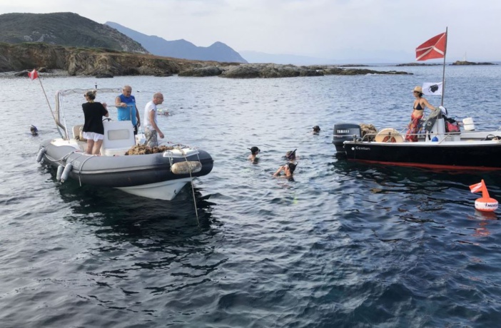 Pollution dans le Cap Corse : une association s'attaque aux encombrants jetés à la mer