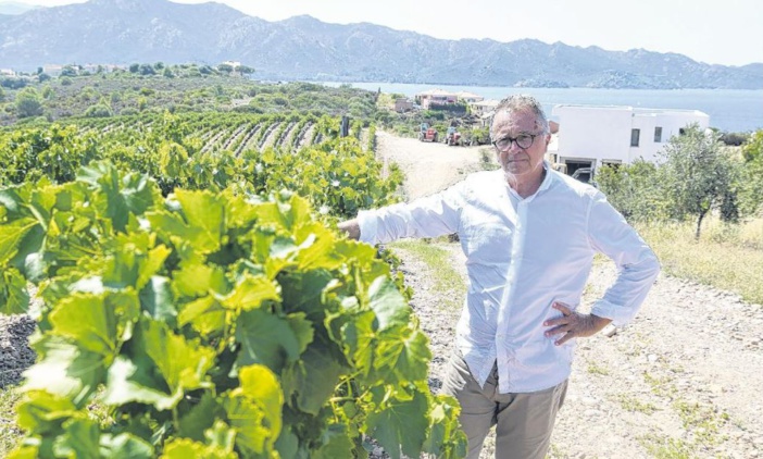 Le Domaine Orenga de Gaffory obtient la certification bio