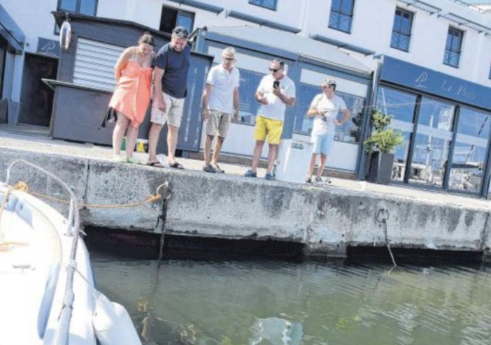 Le bassin du port de Toga victime d'épisodes de pollution 