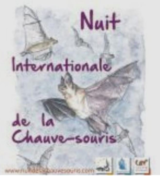 Nuit européenne de la chauve-souris 