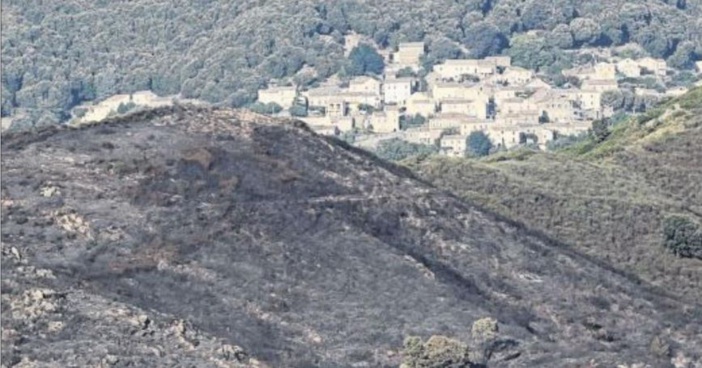 Dix hectares brûlent à Castellu di Rustinu