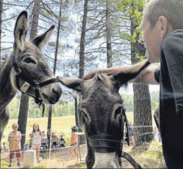 Des ânes au pays des chevaux à l'hippodrome de Viseo