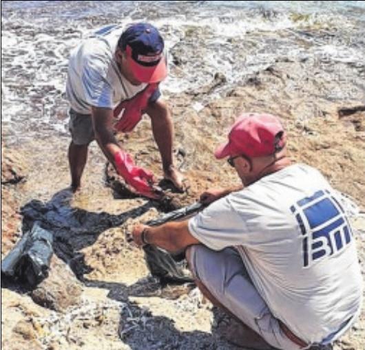 Pollution maritime à bonifacio : l'OEC tire la sonnette d'alarme