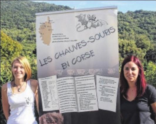 Un après-midi pour mieux connaître les chauves-souris