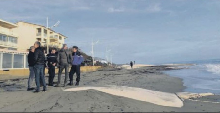 Le dispositif de protection contre l'érosion à nouveau vandalisé sur la plage de Moriani