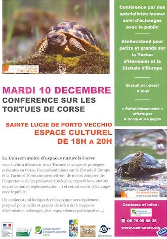 A la découverte des tortues à Sainte Lucie de Porto Vecchio