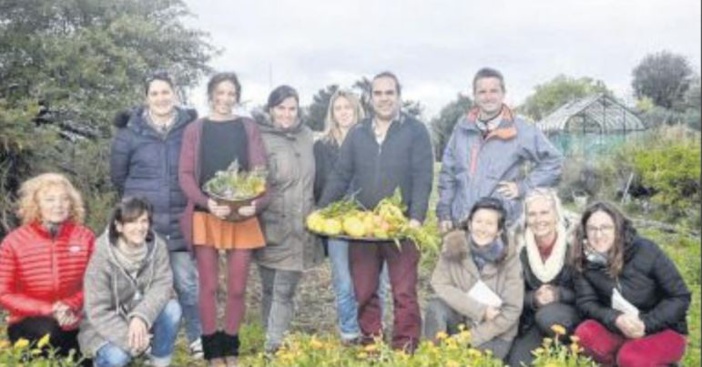  Stage botanique : découvrir les plantes et les végétaux insulaires