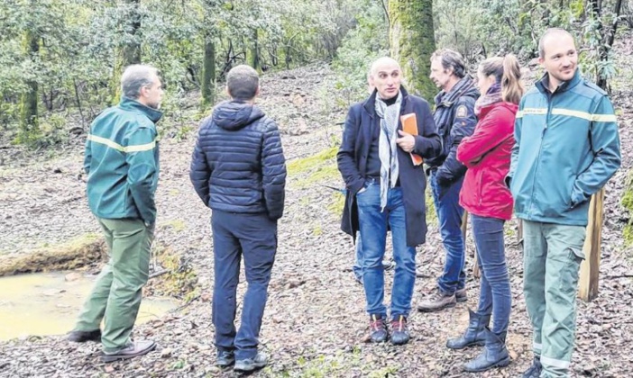 Å Mansu, un sentier pour tout connaître de la mésange bleue