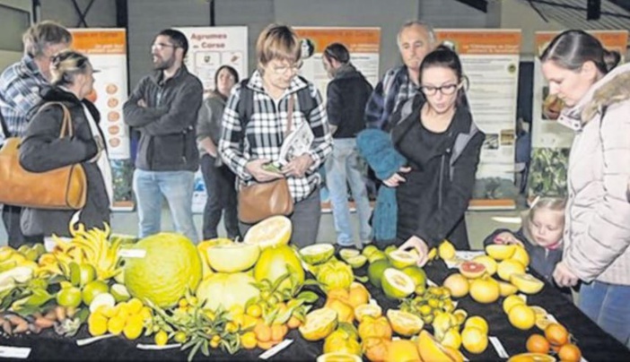 Inra-IRSTEA : fusion à l'heure du grand virage agroécologique
