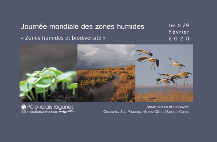 Journées mondiales des zones humides Journées mondiales des zones humides