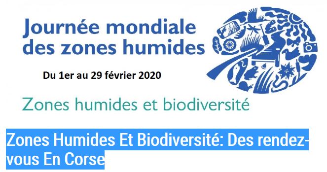 Zones Humides Et Biodiversité: Des rendez-vous En Corse