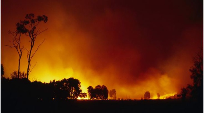 Méga-feux en Australie : est-ce possible en Corse ? 
