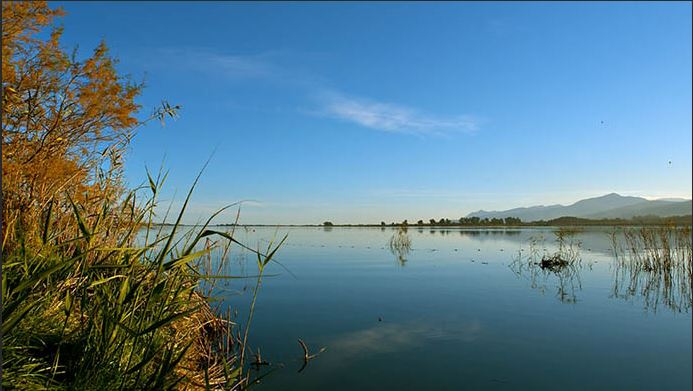 Journées mondiales des zones humides  Plusieurs rendez-vous en février dans toute la Corse  Journées mondiales des zones humides  Plusieurs rendez-vous en février dans toute la Corse