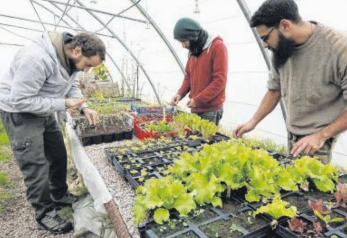 Un jardin pilote pour tendre vers l'autonomie alimentaire
