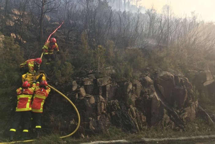 Incendie entre Quenza et Solaro : le feu est contenu