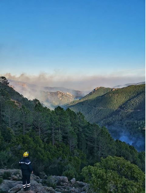Incendie de Quenza-Solaro : plus de 1500 hectares détruits et 3 hommes blessés 