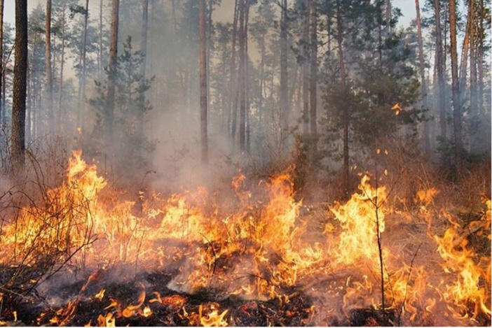 Feu de Bavedda : deux hélicoptères bombardier d'eau en renfort dans l'attente de nouveaux vents attendus en fin de semaine
