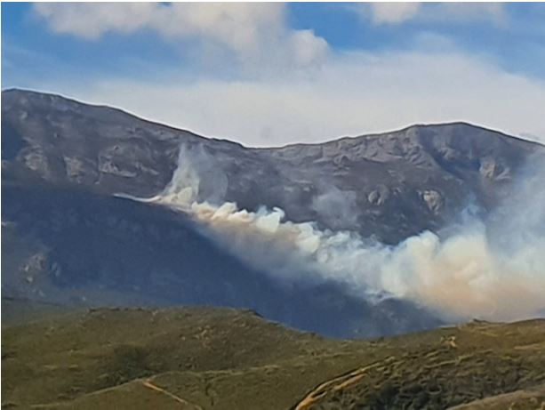 Pietracorbara : 50 hectares détruits, le feu progresse 