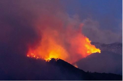 Vent Violent : le feu de Quenza-Solaro est reparti et pourrait menacer des habitations 